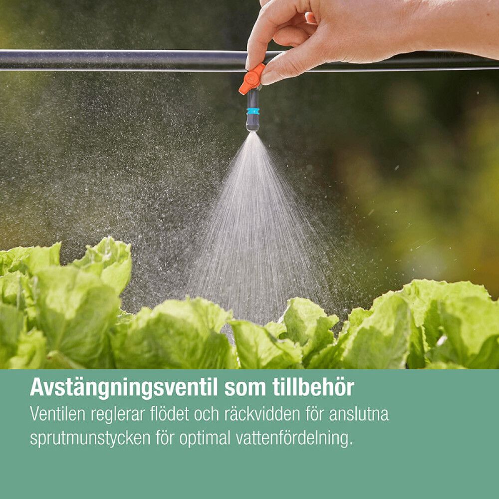 Väikepilt 8