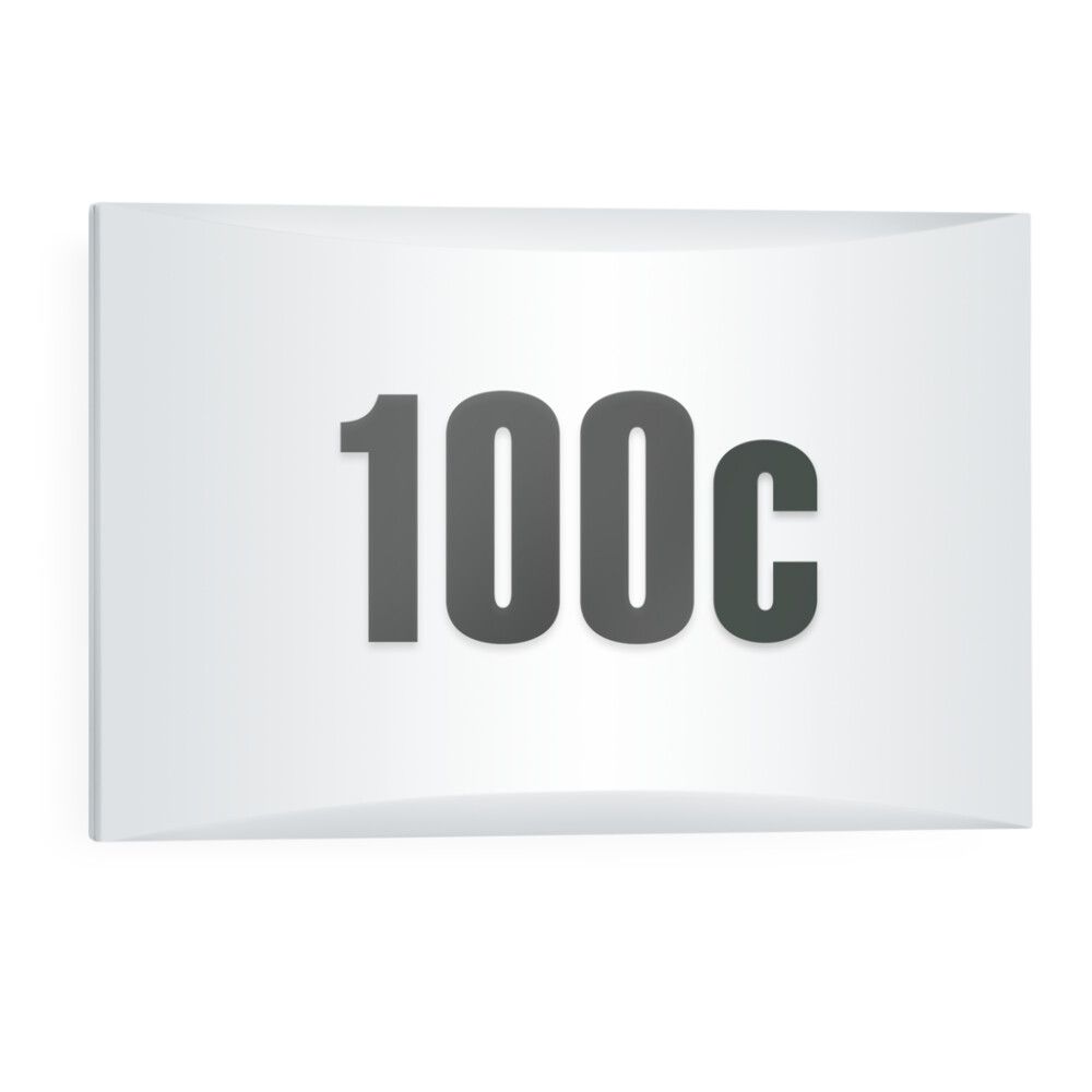 LED-välisvalgusti Steinel LN 1