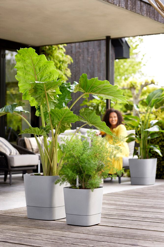 Altkastmispott Elho Greensense Aqua Care 38 x 38 cm, hall