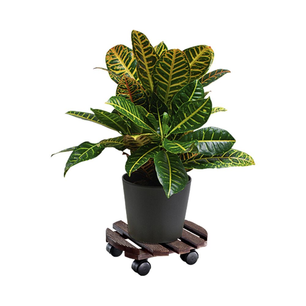 Potialus Andaluzia  29,5 cm