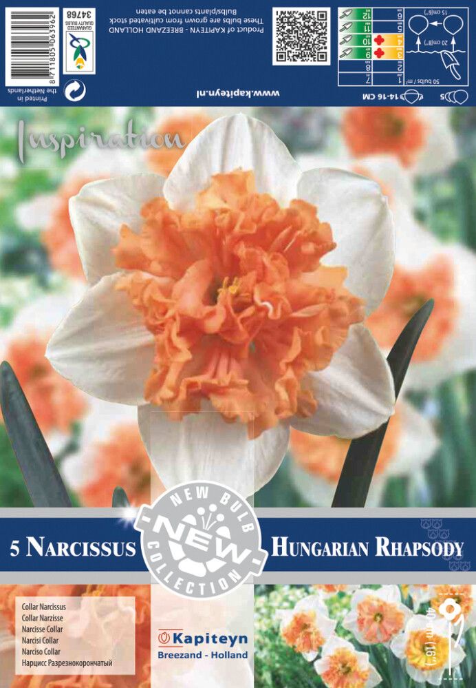 Nartsiss Hungarian Rhapsody 5 tk