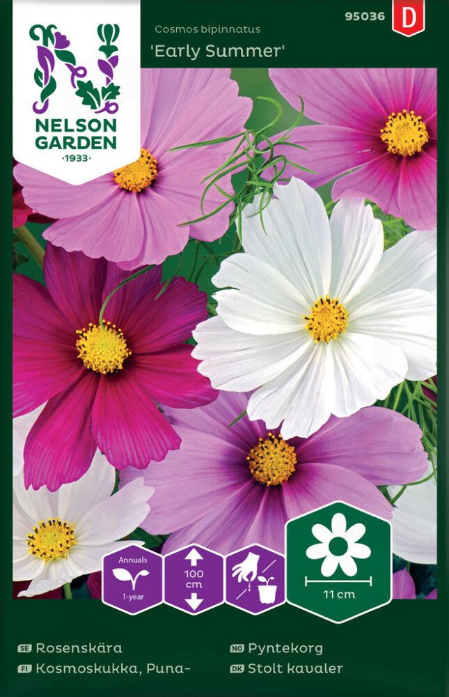 Harilik kosmos Early Summer