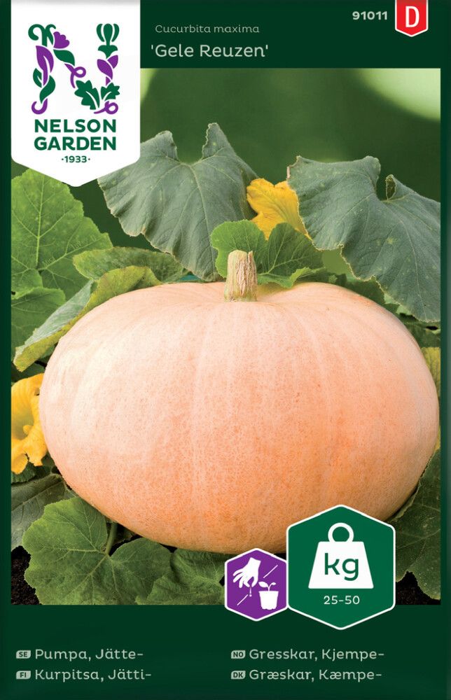 Kõrvits Gele Reuzen