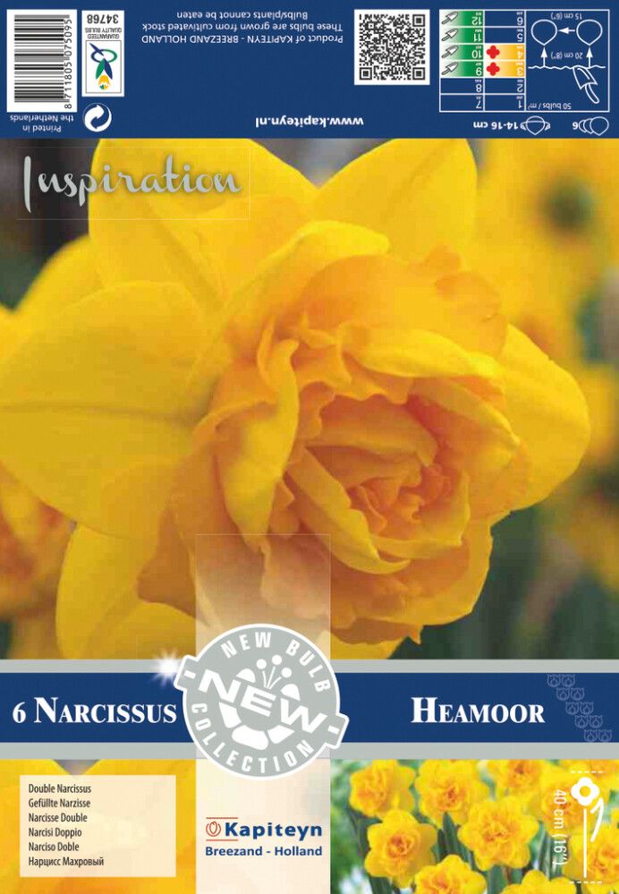 Nartsiss Heamoor 6 tk