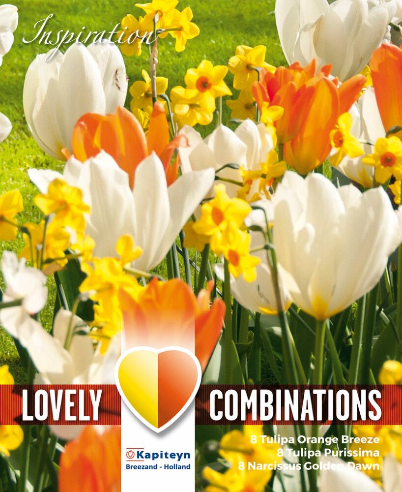 Tulbi ja nartsissi valik 24 tk