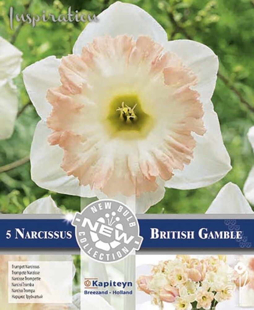 Nartsiss British Gamble 5 tk