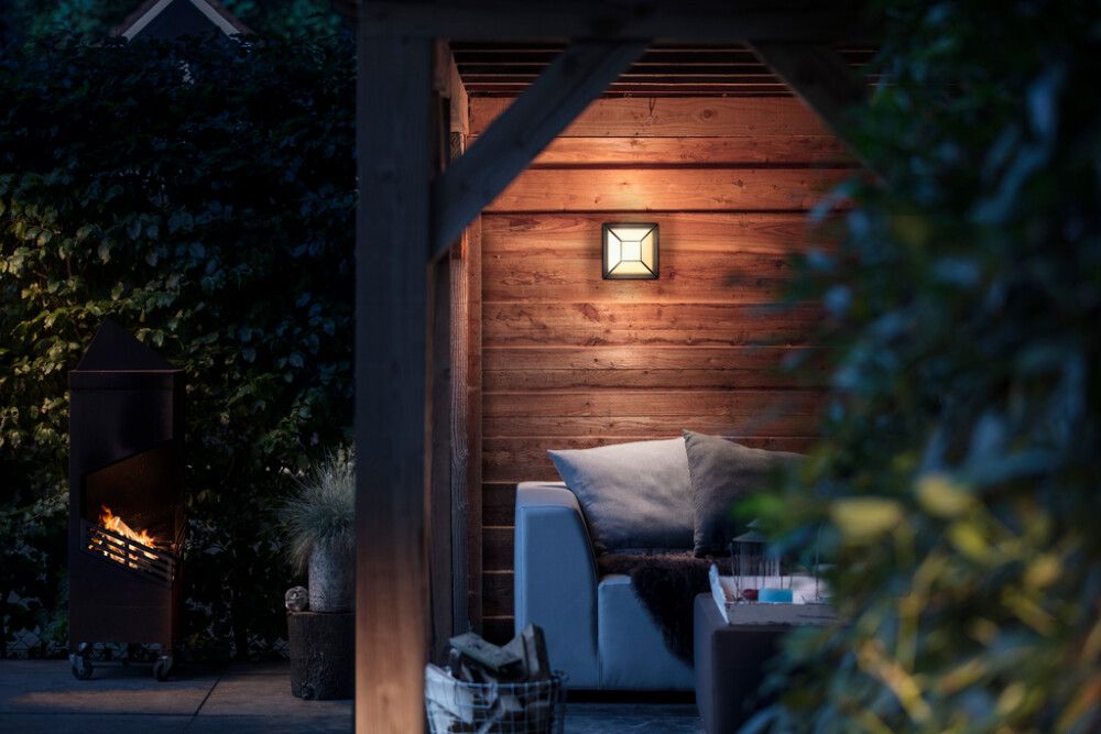 Välisvalgusti Drosera