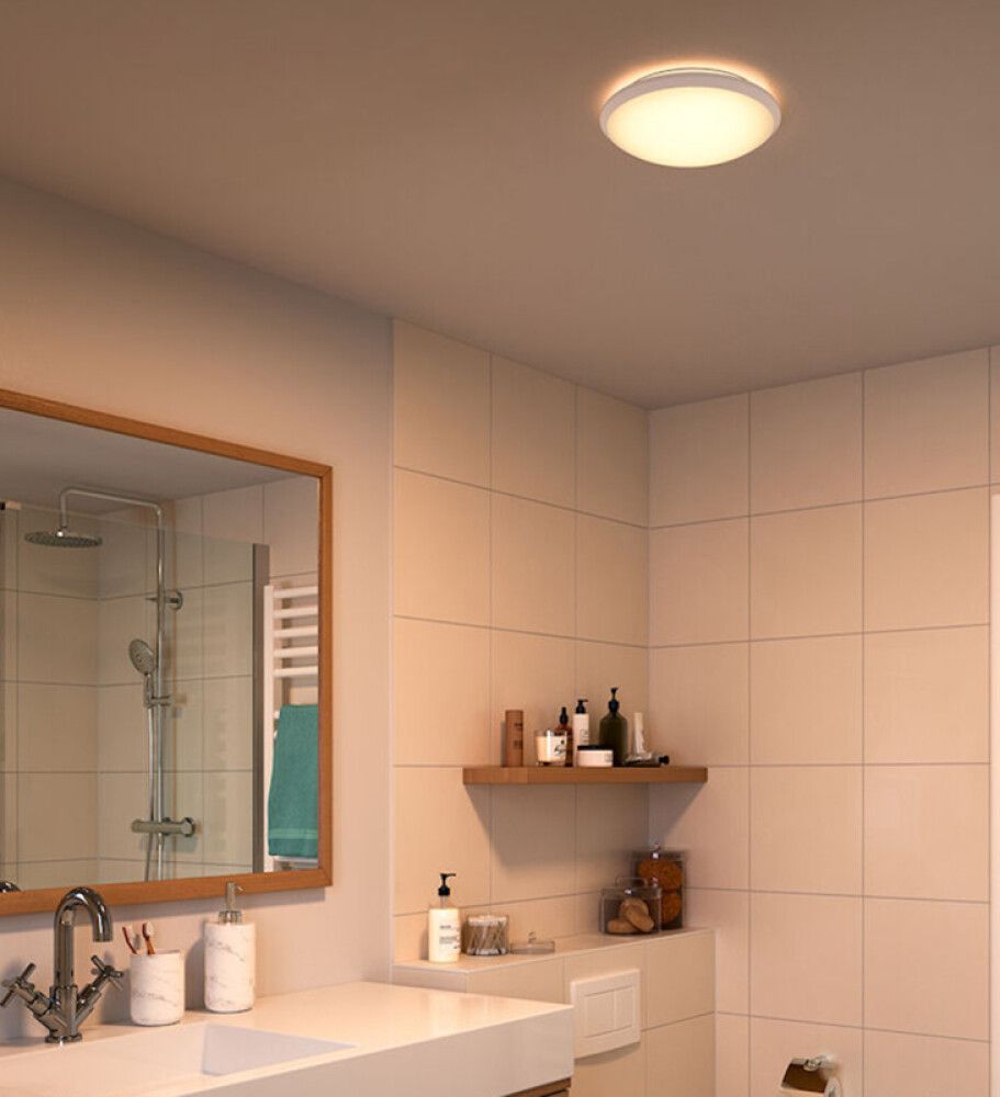 Vannitoavalgusti Philips Spray CL260 12 W, hõbedane