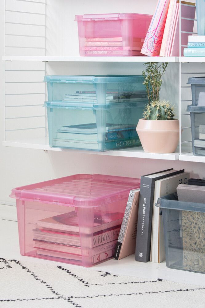 Säilituskast SmartStore Colour 31 l 50 x 39 x 26 cm