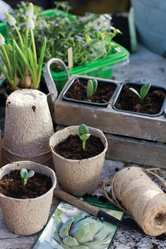 Turbapotid PlantStart 8 cm