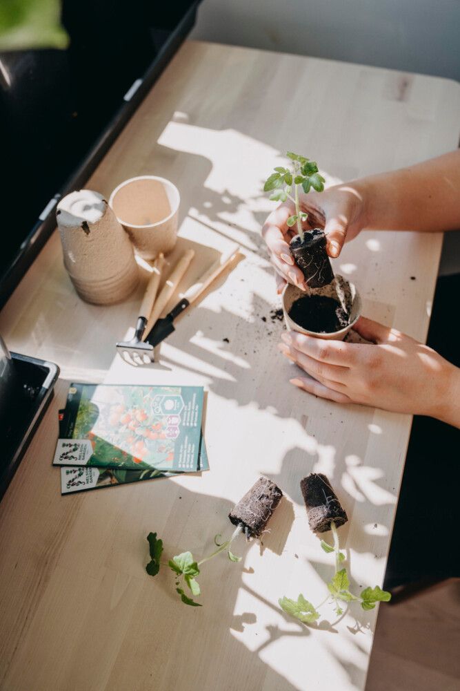 Turbapotid PlantStart 8 cm