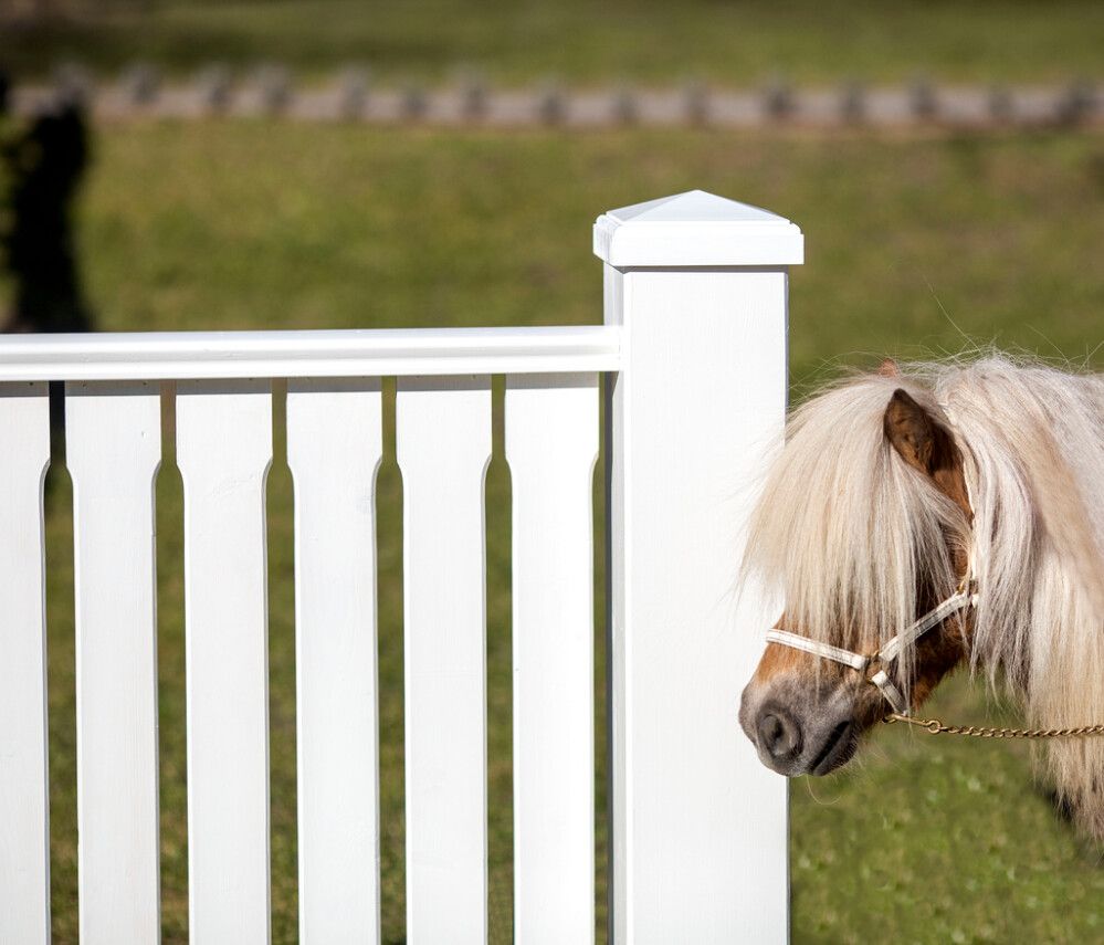 Piirdelipp sirge servaga, 19 x 100 x 900 mm