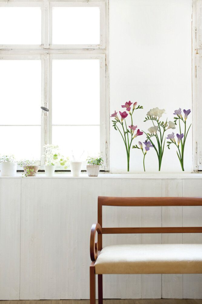 Posterkleebis Plage Freesia