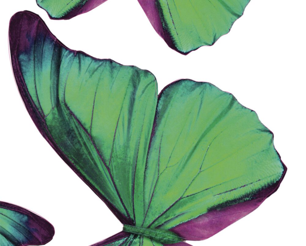 Seinakleebis Plage 3D rohelised Liblikad