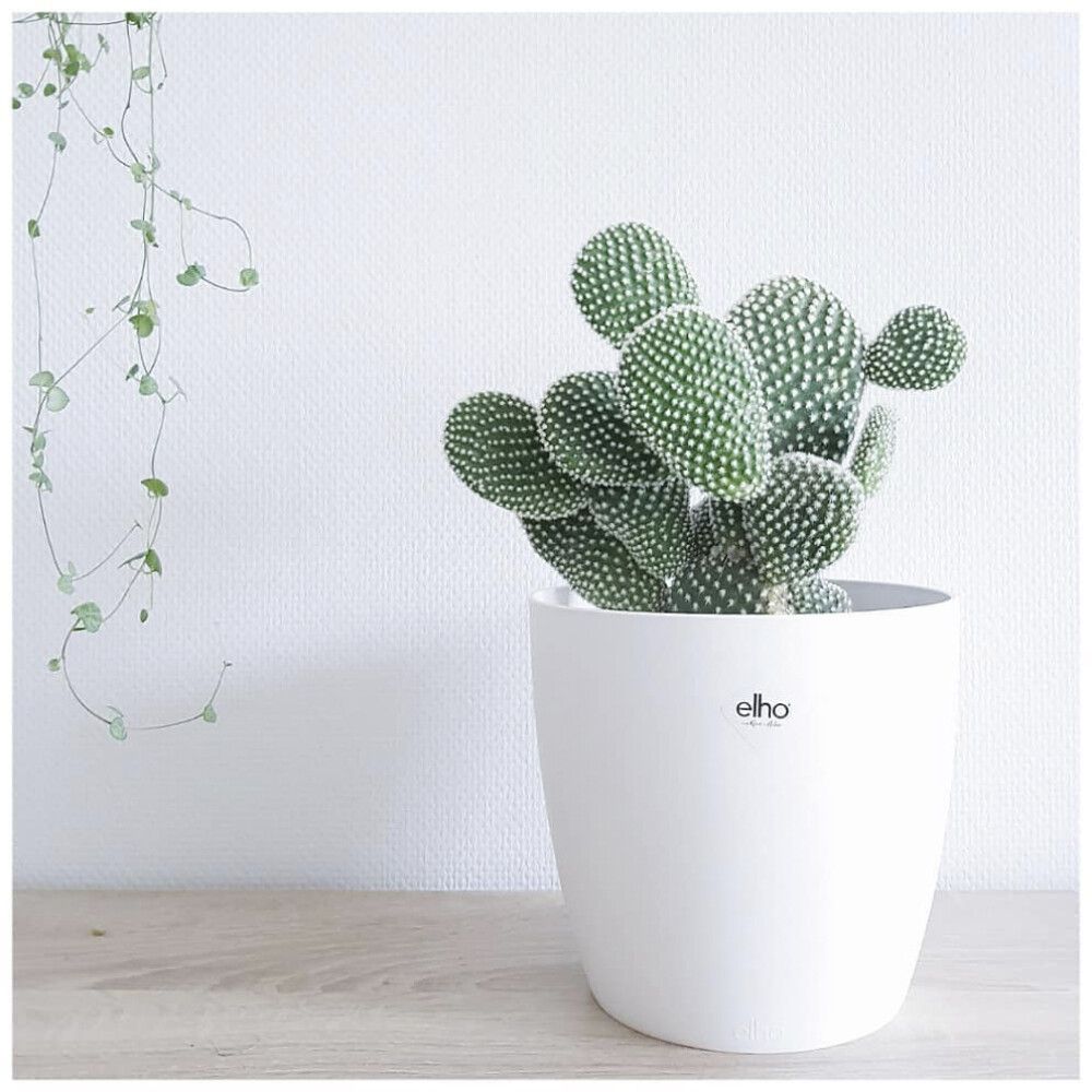 Lillepott Elho Brussels Ø 18 cm