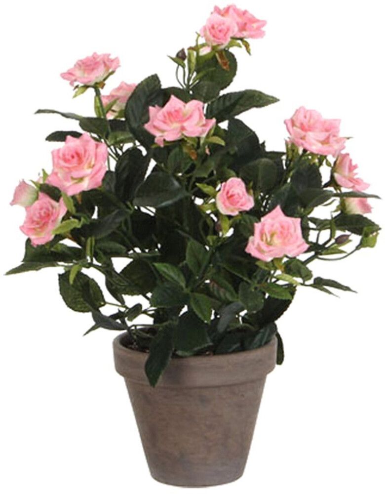 Kunstlill potiroos heleroosa