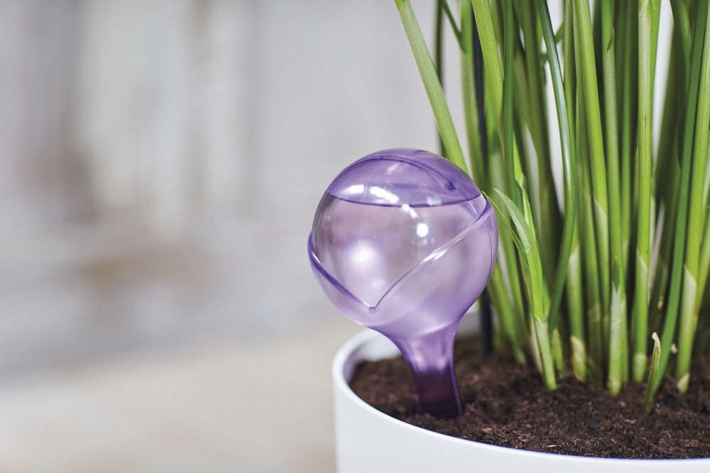 Automaatne kastja Aqua Care, lilla