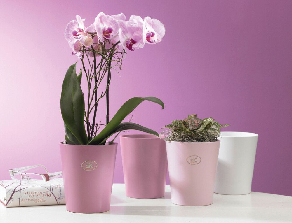 Orhideepott Merina Pretty