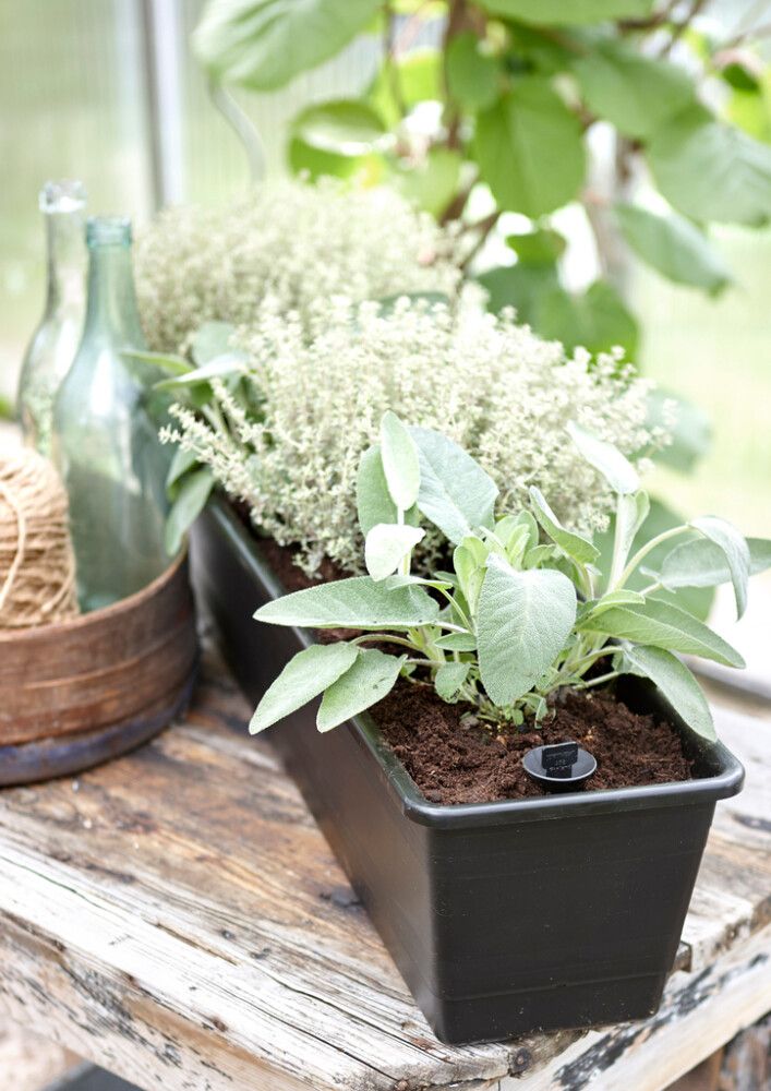 Rõdukast Orthex altkastmisega 55 cm, must