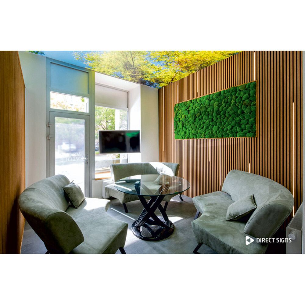 LED-valgusriba profiiliga Direct Signs COB 515 mm 6 W