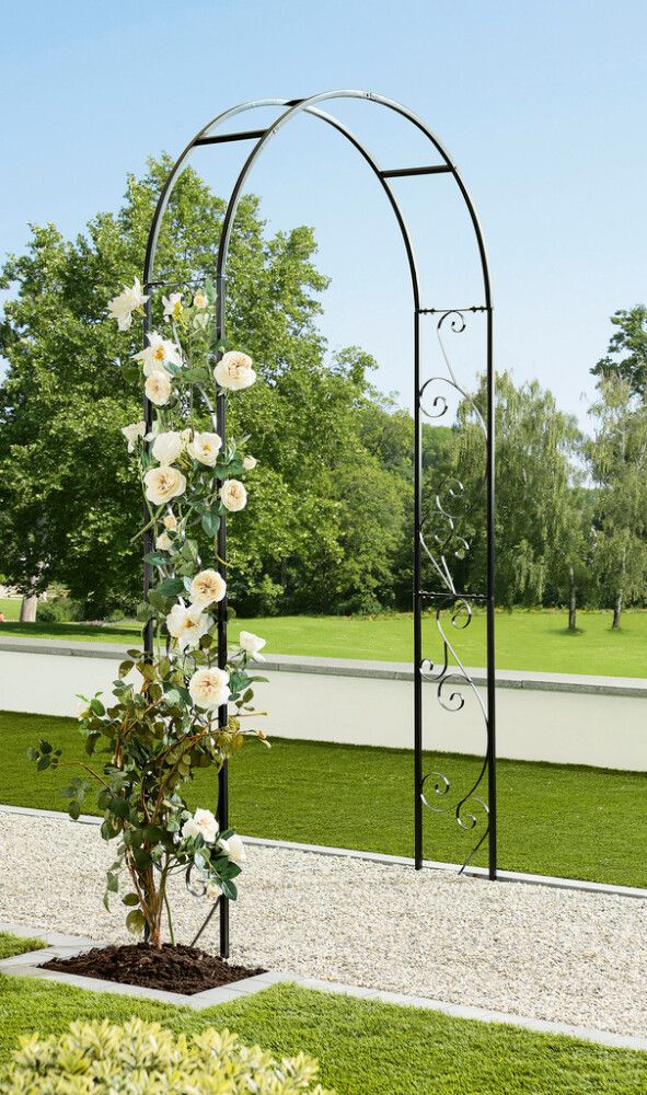 Roosikaar 120 x 26 x 240 cm