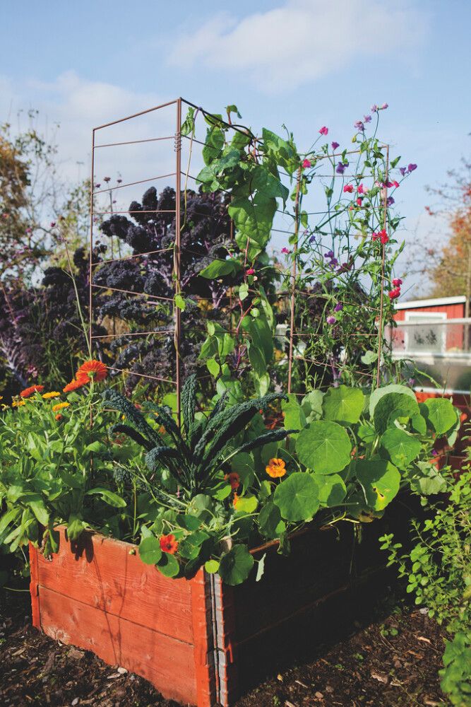 Taimesõrestik 140 cm