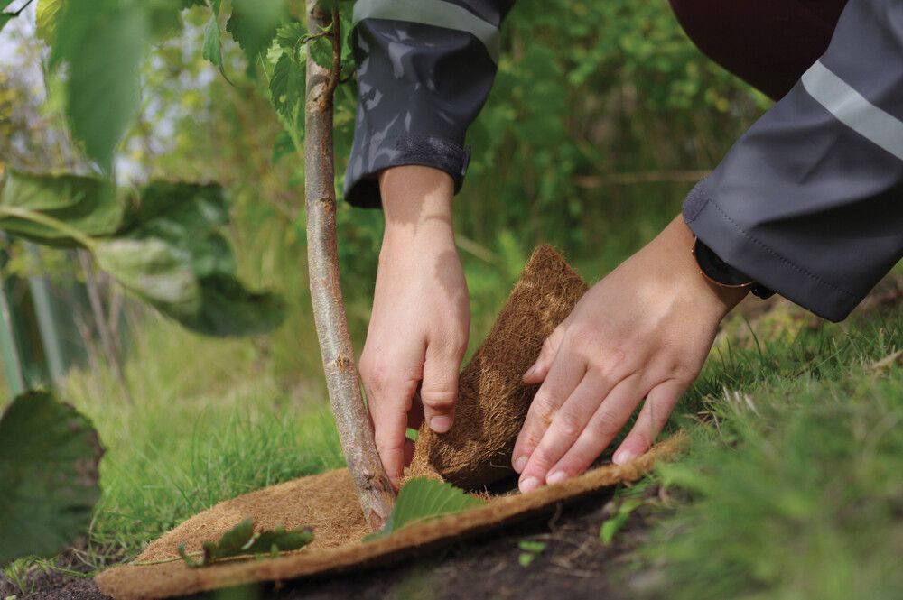 Umbrohumatt Ø 37 cm