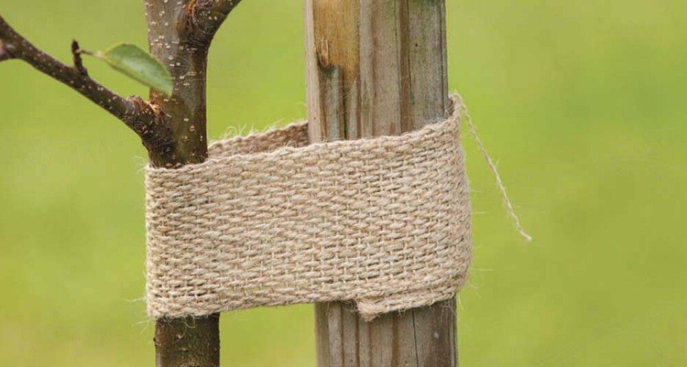 Džuutnöör 6 cm x 5 m