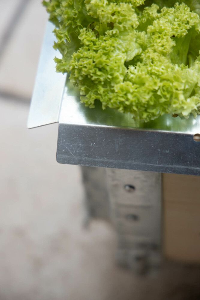 Metallliist tigude tõrjeks lavaalusele 80 x 60 cm