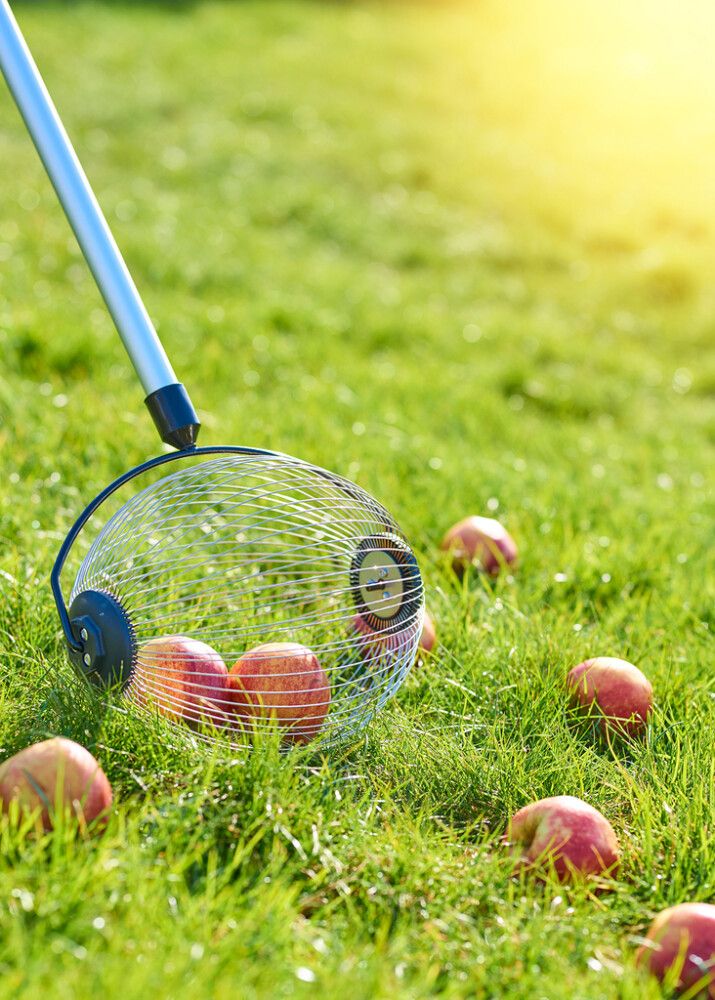 Puuviljakorjaja Grouw 28 x 17 cm