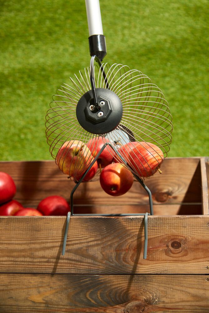 Puuviljakorjaja Grouw 28 x 17 cm