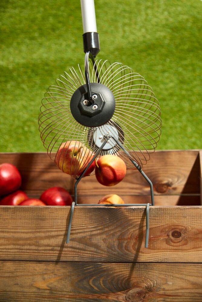 Puuviljakorjaja Grouw 28 x 17 cm