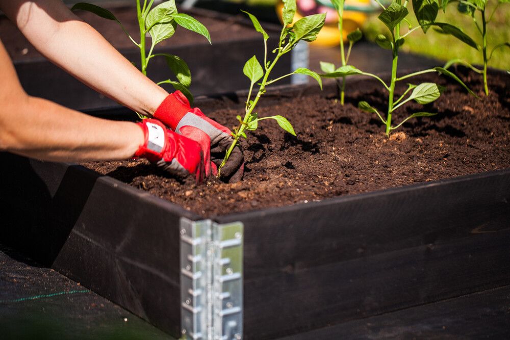 Istutuskast 120 x 80 x 20 cm, must