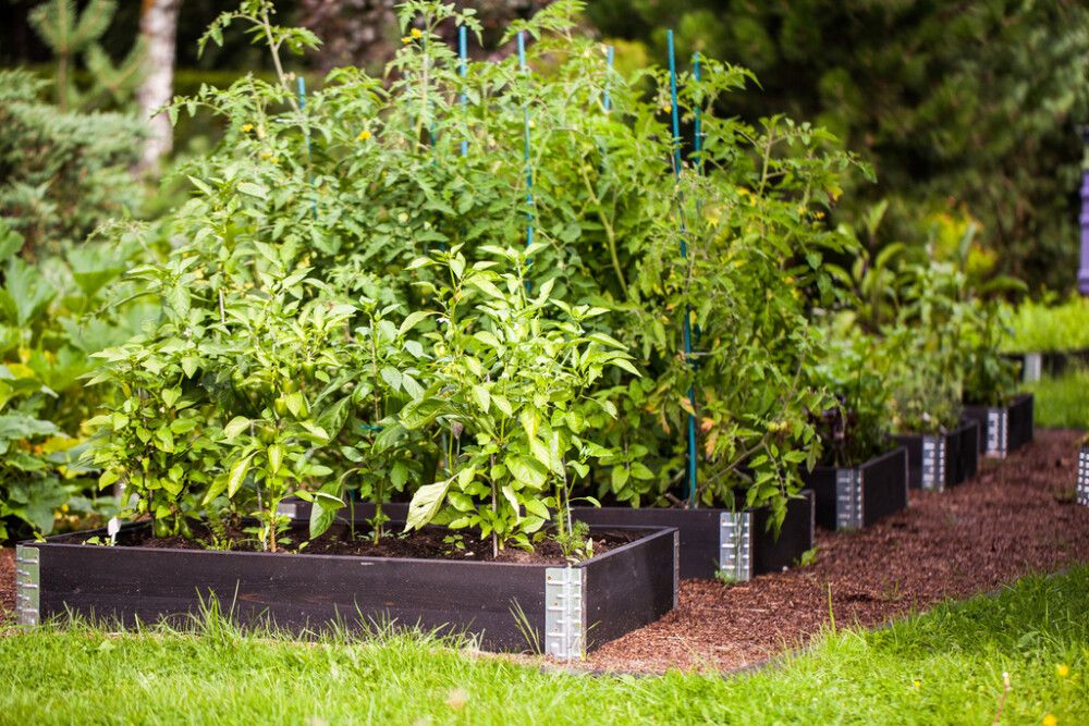 Istutuskast 120 x 80 x 20 cm, must