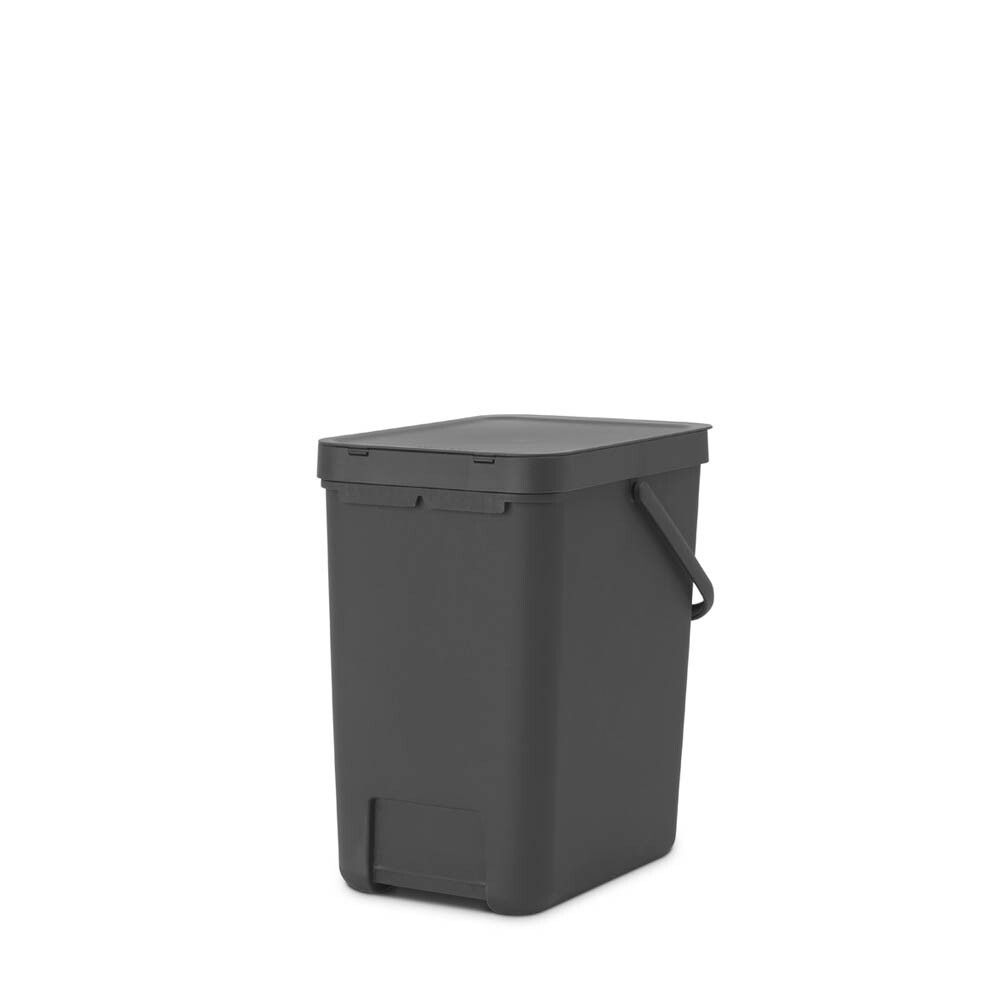 Prügikast Brabantia Sort&Go 25 l, hall