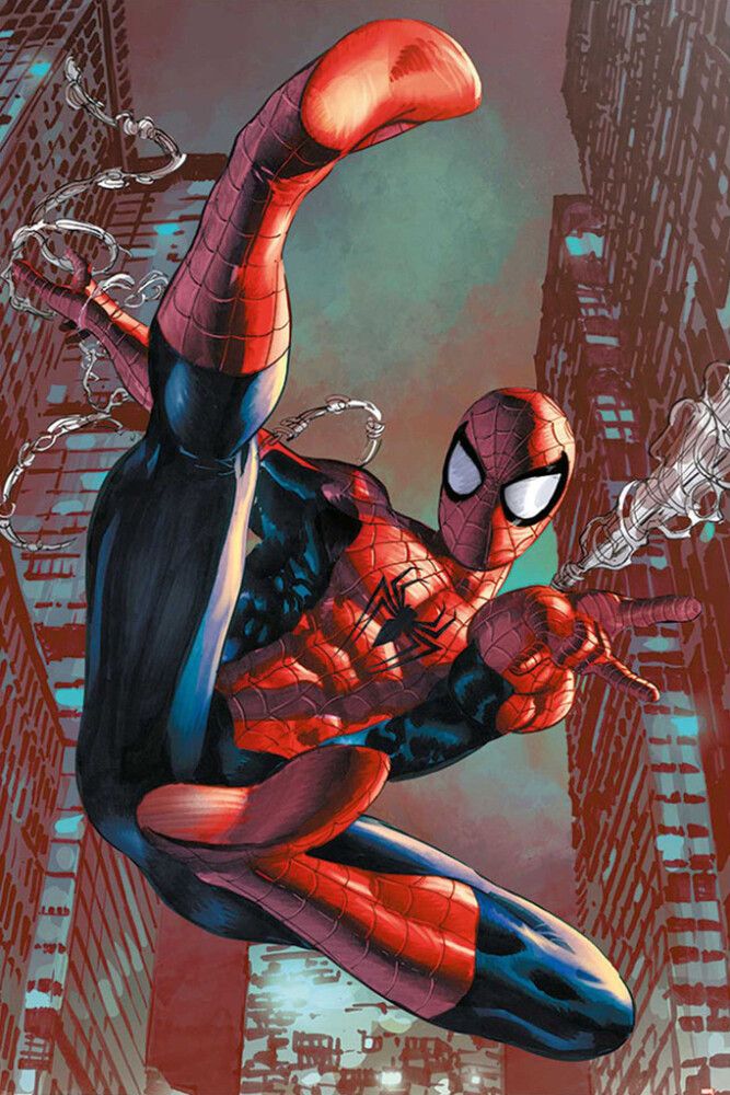 Poster Reinders 019 Spider-Man - web sling