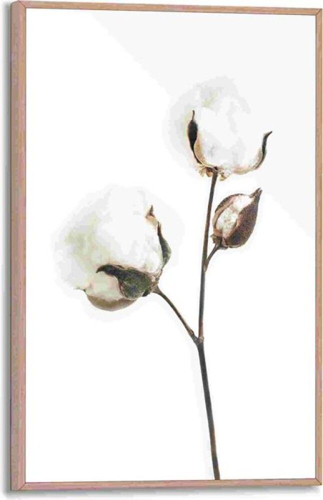 Sisustuspilt Reinders Dots of Cotton 20 x 30 cm