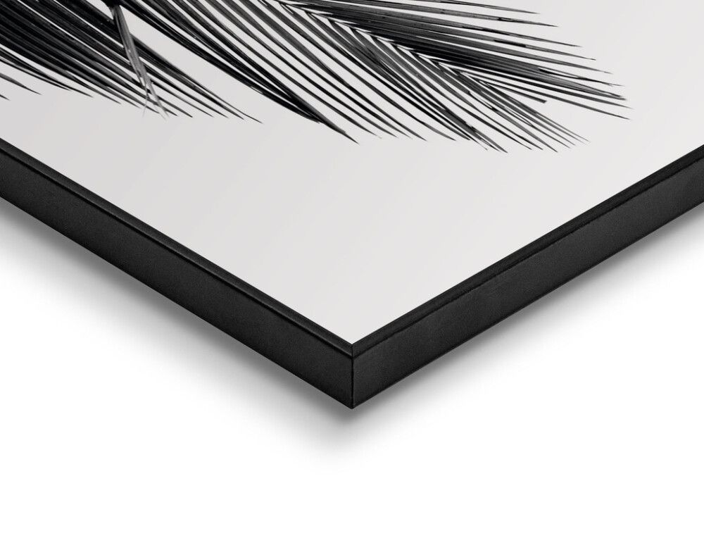 Sisustuspilt Reinders Palm Leaf 40 x 50 cm