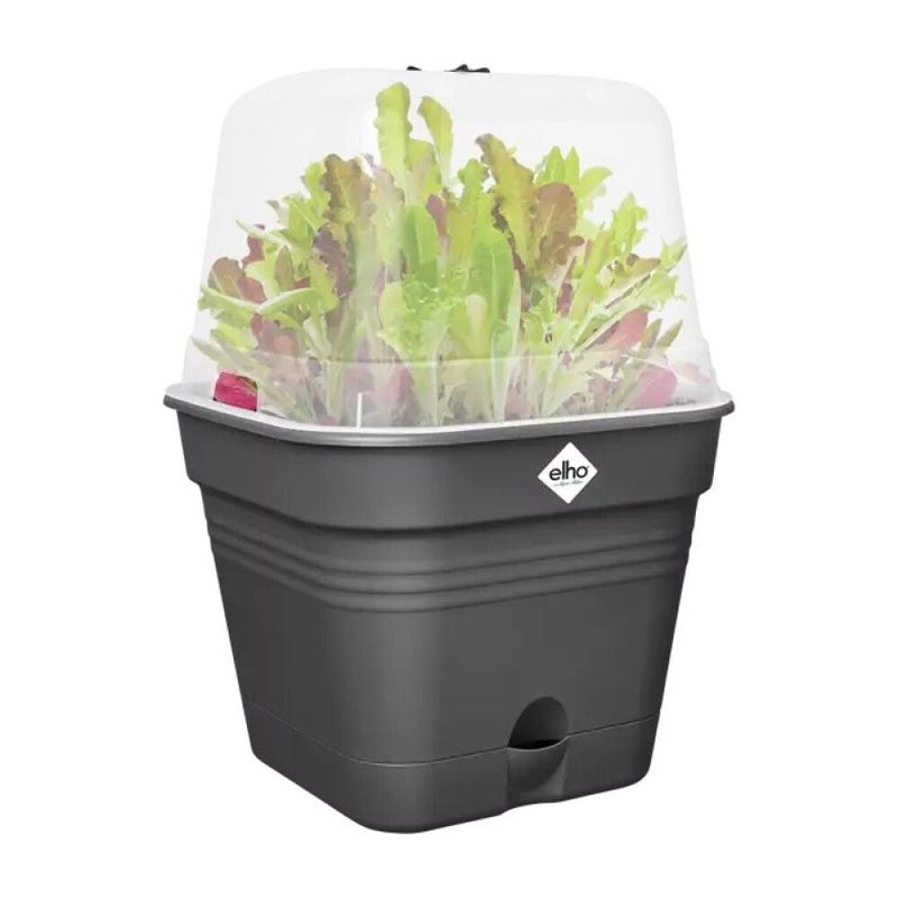 Istutuspott Elho Green Basics Allin1 Ø 20 cm