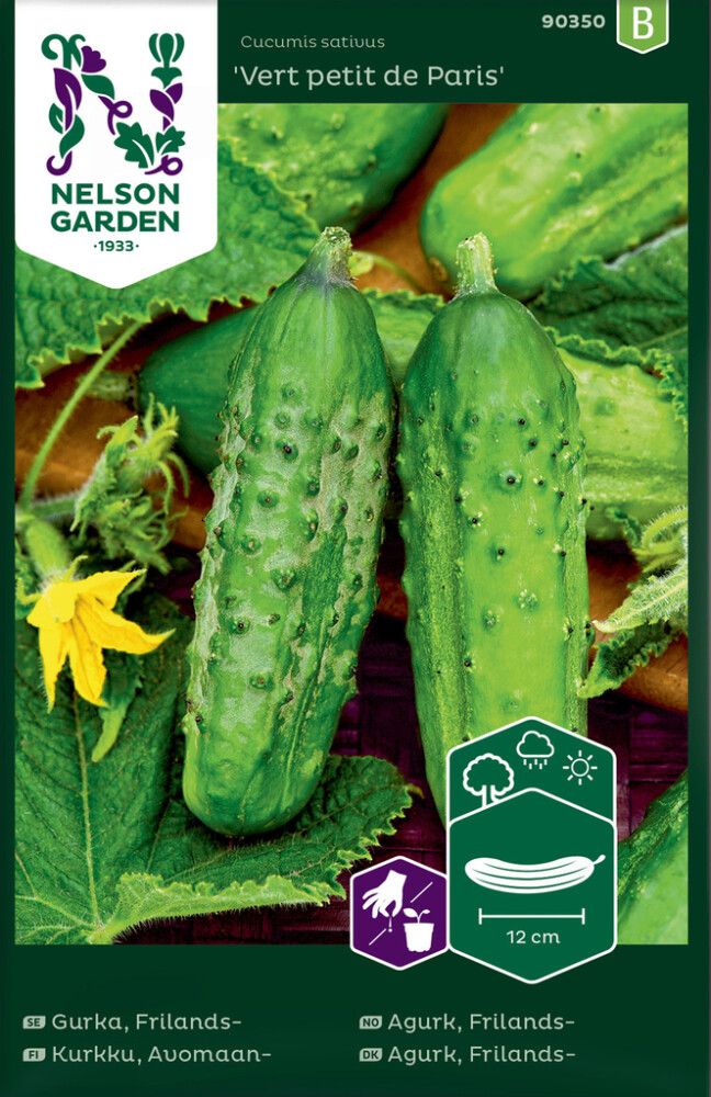 Avamaakurk Vert Petit de Paris