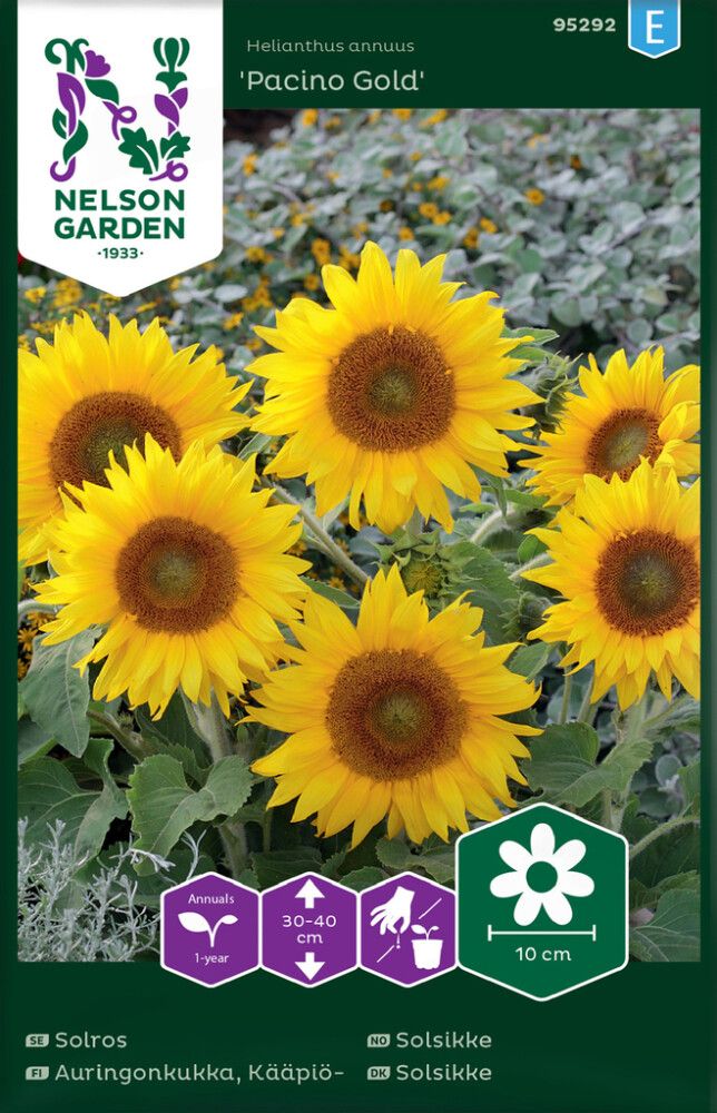 Harilik päevalill Pacino Gold