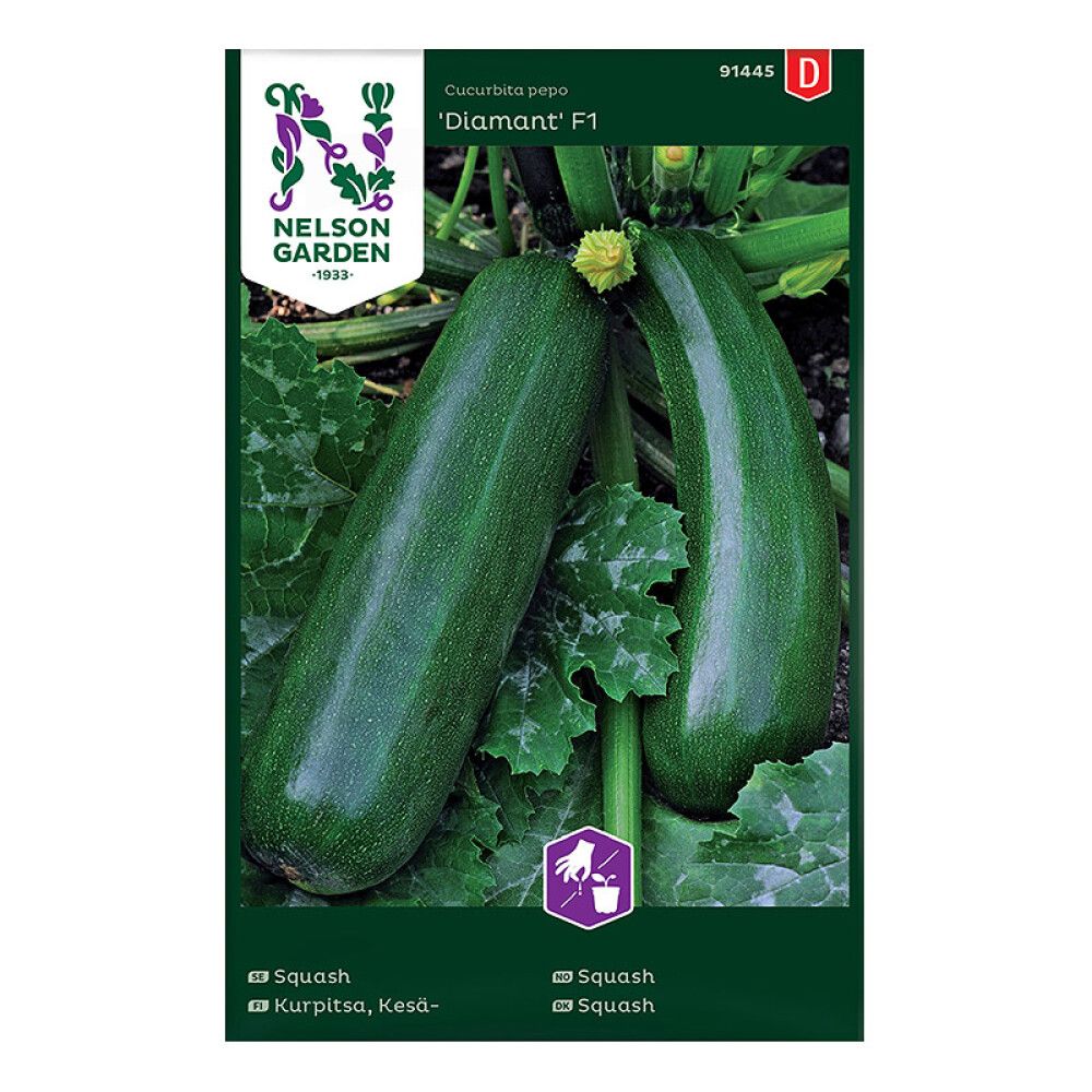 Suvekõrvits Diamant F1