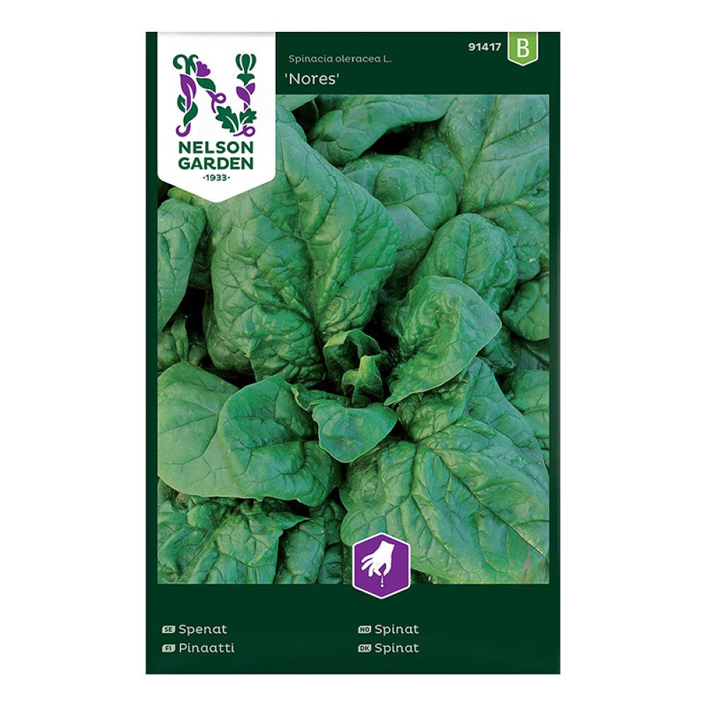 Spinat Nores