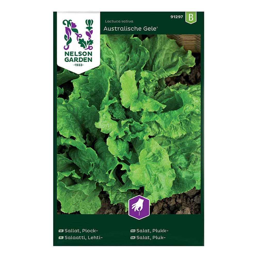 Lehtsalat Australische Gele