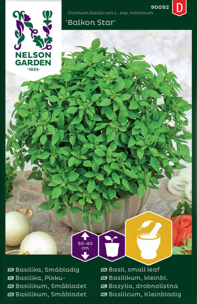 Basiilik Balkon Star