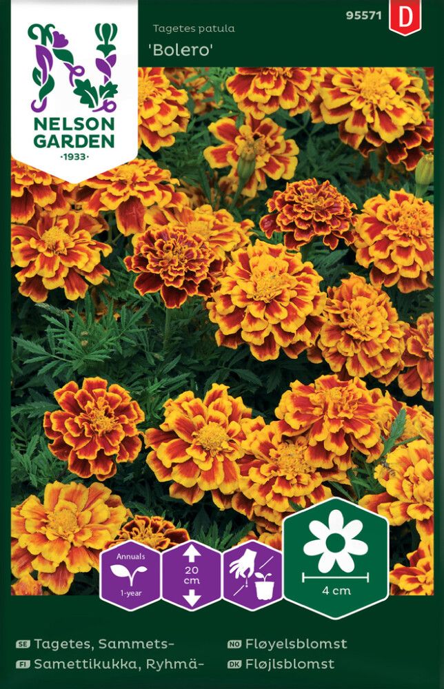 Madal peiulill Bolero