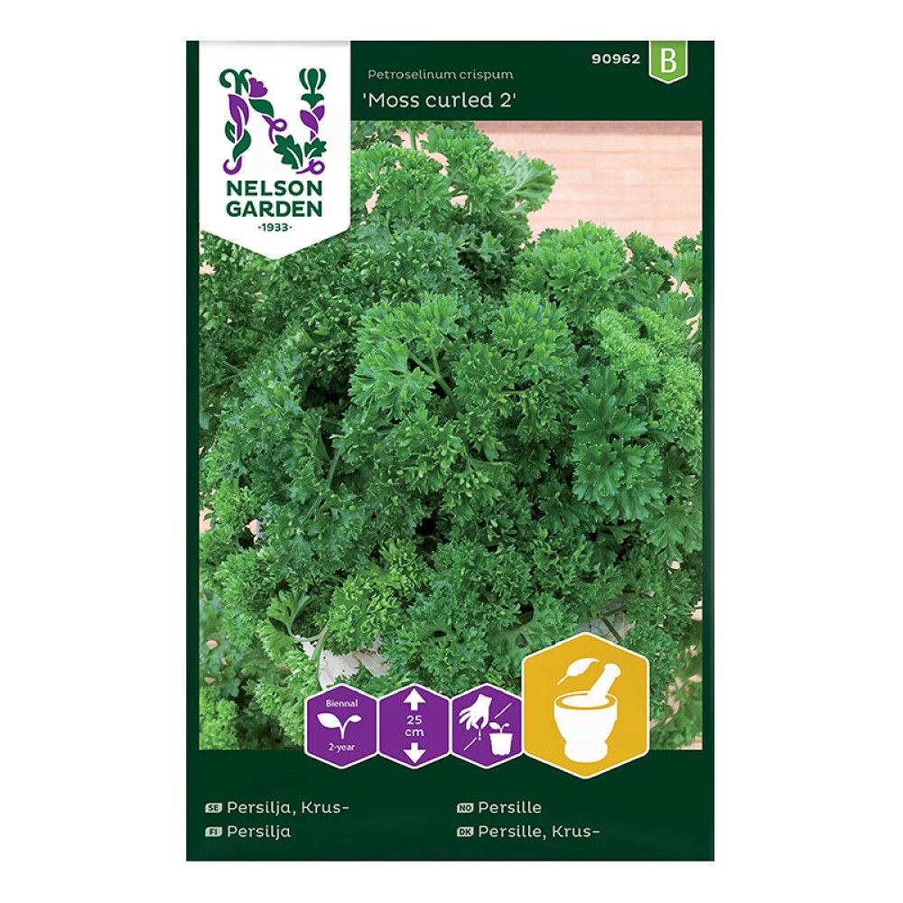 Kähar petersell Moss Curled 2