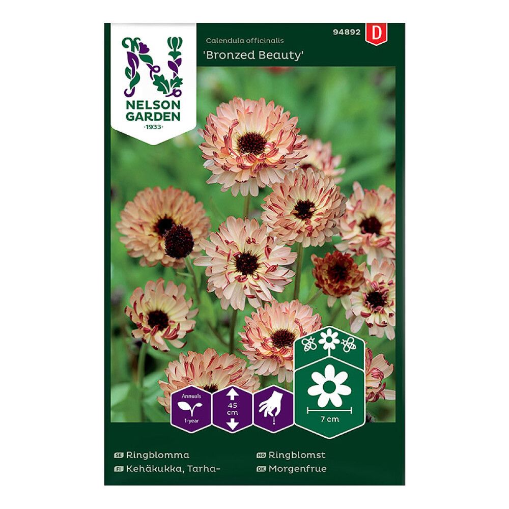 Harilik saialill Bronzed Beauty