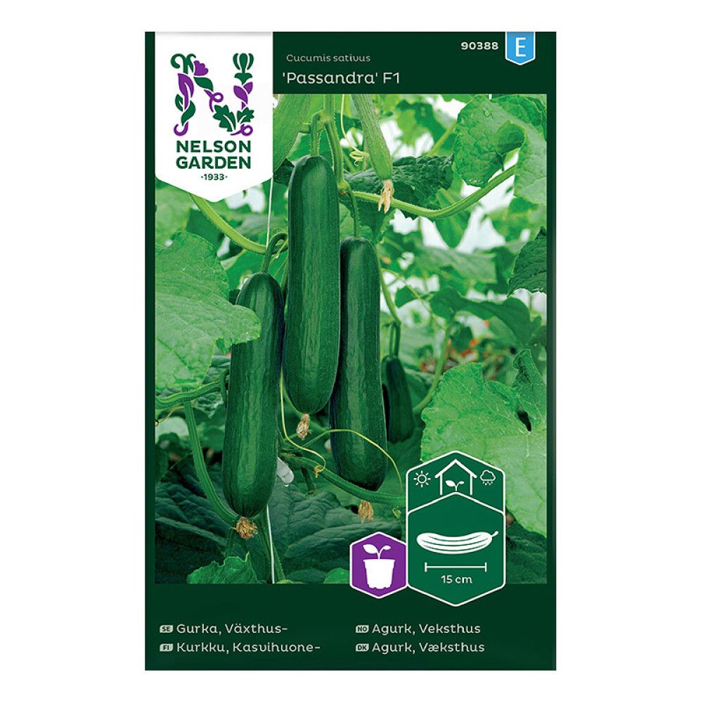 Kasvuhoone kurk Passandra F1