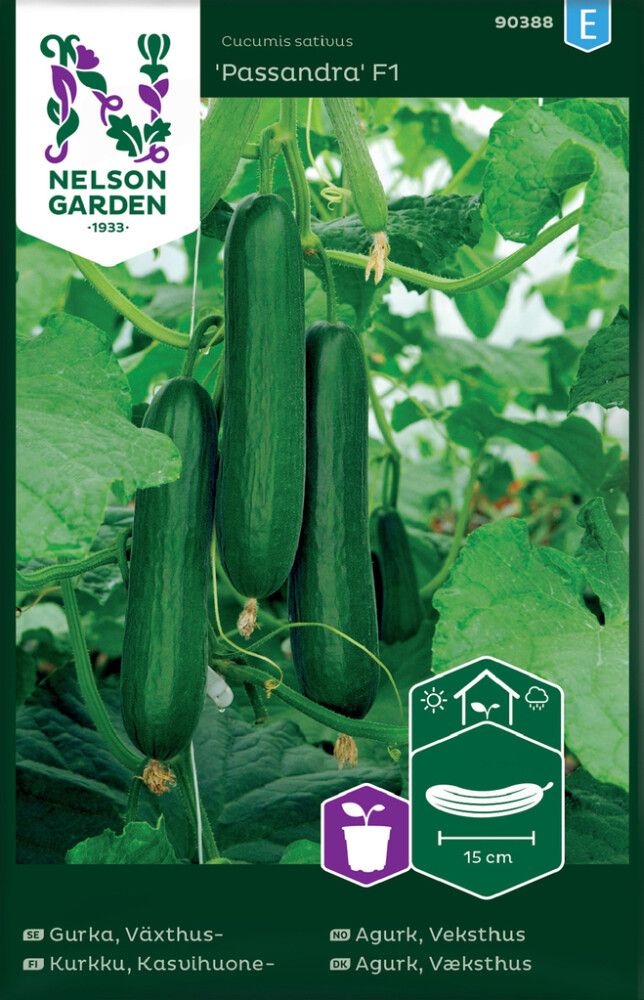 Kasvuhoone kurk Passandra F1